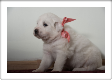 Capture One Session0296